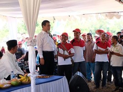 Satu tahun bekerja,  Impor jagung turun 60%