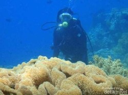 Kerjasama Dengan KBRI, Kemenpar Promosi Keindahan Bahari Indonesia di Filipina