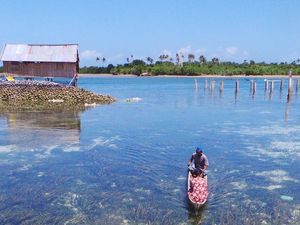 Adaptasi Genetik di Balik Kemampuan Menyelam Suku Bajo yang Mengagumkan Adaptasi Genetik di Balik Kemampuan Menyelam Suku Bajo yang Mengagumkan
