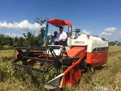 Turun ke Sawah, Mentan Sopiri Traktor di Lombok