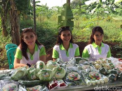 Kini Siapa Saja Bisa Jadi Petani Semangka, Pepaya dan Melon