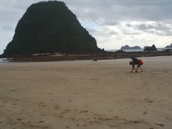 Pantai Pulau Merah Tercemar Lumpur, Pemkab Tegur Keras Perusahaan Tambang