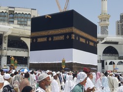 Hindari MERS, Jemaah Haji Disarankan Tidak Makan Daging Unta