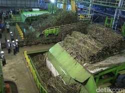 Bangun Pabrik Gula, Investor India dan Brunei Cari Lahan di Luar Jawa
