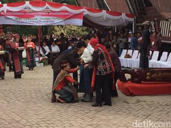 Beri Pakaian Adat Batak ke Jokowi, Bupati Samosir: Ini dari Masyarakat