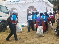 Kenalan dengan Pasukan Semut yang Jaga Toba dari Sampah