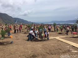 Hijaukan Danau Toba, Jokowi: Kalau Tanam 1 Juta Pohon yang Tumbuh Harus 1 Juta