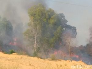 44 Titik Api Penyebab Udara Buruk di Riau