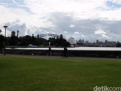 Kebun Raya Berusia 2 Abad ini Tempat Favorit Warga Sydney Melepas Stres