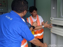 Lahan Gambut Kalimantan Jadi Tantangan XL Tanam Fiber Optic