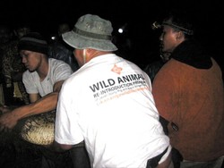 Ini Penampakan Buaya Muara di Ujung Genteng Saat Diselamatkan Aktivis Satwa