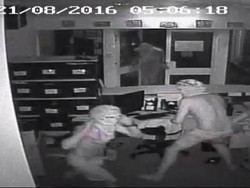 4 Pemuda Misterius Melepaskan 3 Buaya ke Dalam Kantor Sekolah di Darwin