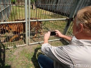 Kesejahteraan Satwa KBS Membaik, Wild Welfare Tertarik Beri Pelatihan