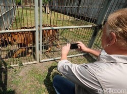 Kesejahteraan Satwa KBS Membaik, Wild Welfare Tertarik Beri Pelatihan