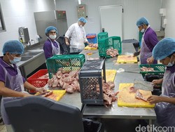 Tim Intelijen Pemantau Masakan Jemaah Agar Tetap Enak dan Sehat