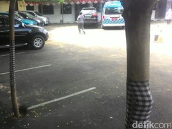 Cerita Tentang Pohon yang Disarungi Kain Bermotif Bali di Samsat Depok