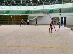 Gubernur Aher Pastikan 22 Arena di Kota Bandung Siap Dipakai PON Gubernur Aher Pastikan 22 Arena di Kota Bandung Siap Dipakai PON