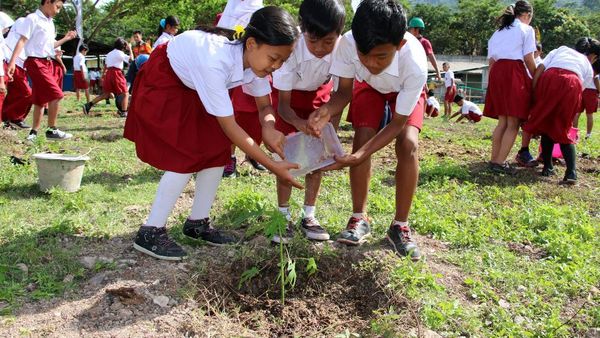 Siswa SD Peduli Lingkungan dengan Menanam Pohon