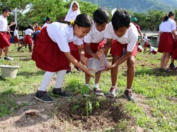 Pendidikan P5 dan Budaya Konservasi Berkelanjutan