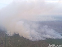 Status Kebakaran Lahan di Riau Masuki Siaga Darurat