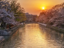 2 Hari yang Romantis di Kyoto