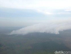 Bebas Asap, BPBD Riau Bagi Pengalaman ke Basarnas Australia