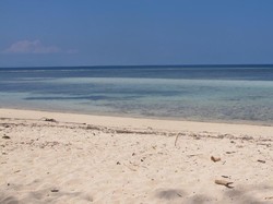 Koguna, Si Cantik Tetangganya Wakatobi