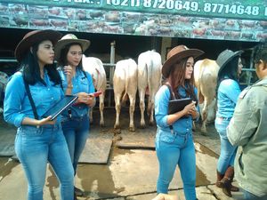 Haji Doni Masih Konsisten Pekerjakan SPG di Tempat Jualan Sapi Kurban