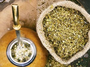 Teh Mate, Minuman Unik dari Amerika Selatan yang Kaya Antioksidan