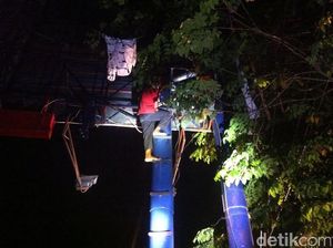 Tuntut Keadilan, Pria asal Flores Nekat Panjat Reklame Setinggi 25 Meter