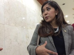 DPR Minta Kominfo Tak Buru-buru Turunkan Interkoneksi