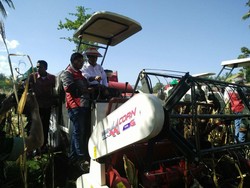 Panas-panasan, Mentan Panen Raya Jagung di Gorontalo