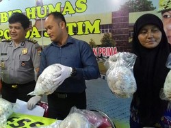 Penyimpanan Ratusan Trenggiling Beku Dibongkar Polda Jatim