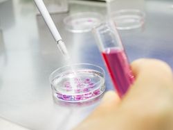 Temuan Mengejutkan di 2022: Bahtera Nuh dan Virus Purba Bangkit Lagi