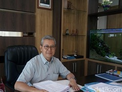 Banyak Pasokan, Harga Rajungan Jatuh ke Rp 30.000/Kg