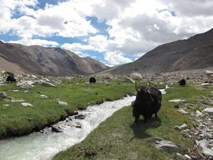 Wisata Lokasi Syuting Kuch Kuch Hota Hai Sampai Jodha Akbar di India