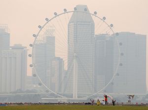 Studi Sebut Kabut Asap Tahun 2015 Sebabkan 100 Ribu Lebih Kematian Dini
