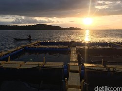 Mengenal Resto Apung Pulau Bungin, Tempat Bermukim Anak Suku Bajo