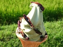 Hii! Tempat Ini Sajikan Soft Ice Cream dengan Topping Belalang