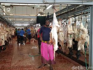 Standar Baru Rumah Potong Hewan Dam dan Besaran Biayanya Standar Baru Rumah Potong Hewan Dam dan Besaran Biayanya