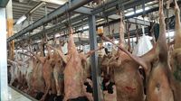Mengunjungi Pasar Kakiyah di Makkah
