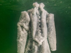 Lihat Bagaimana Gaun Kristal Dramatis Ini Dibuat Lewat Proses Alam