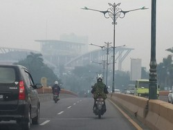 Pak Jokowi, Jarak Pandang di Pekanbaru Kian Buruk karena Asap