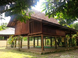 Piknik ke Bekasi, Ada Rumah Kayu 500 Tahun!