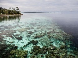 PT Pelni Hadirkan Paket Wisata Bahari yang Lengkap