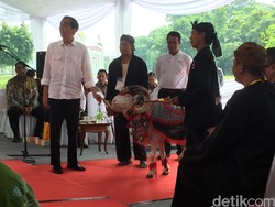 Begini Serunya Saat Domba Garut Catwalk di Depan Presiden Jokowi