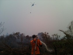 Pekanbaru Dikepung Asap, Ini Penampakan Lahan Terbakar di Riau
