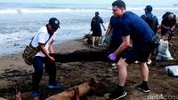 Personel TNI dan US Navy Bersihkan Pantai Padang