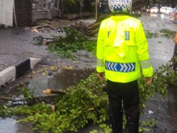 Kali Pesanggrahan Meluap, Bintaro dan Ulujami Tergenang