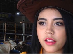 Beli Sapi Ditemani Cewek Cantik